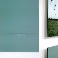 "Birds"